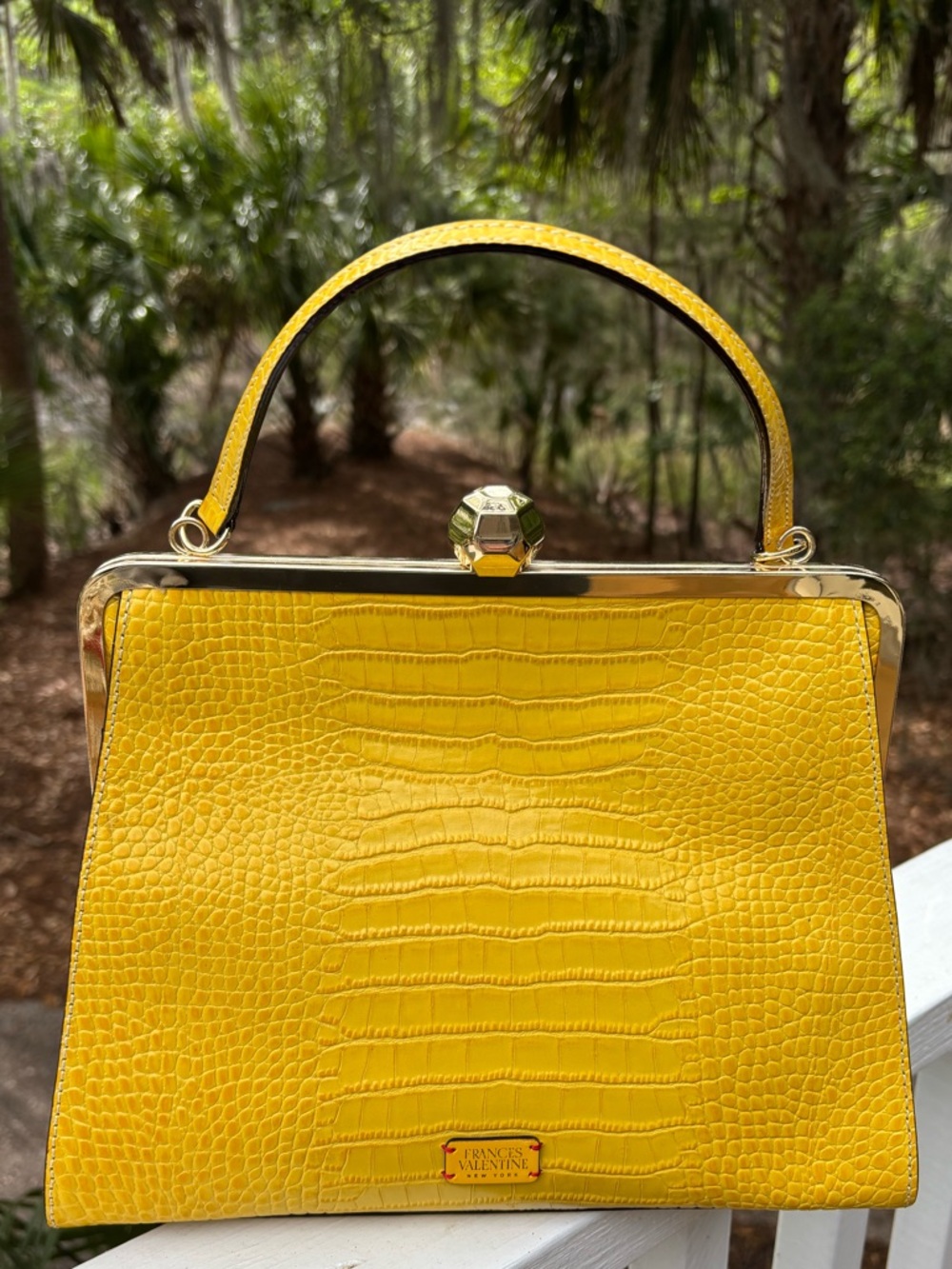 Frances Valentine Leather Frame Bag in Yellow